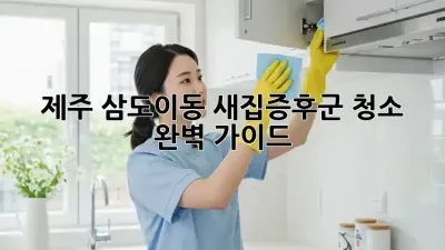 제주 삼도이동 새집증후군 청소 완벽 가이드