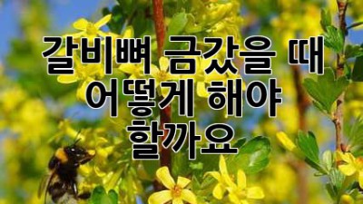 갈비뼈 금갔을 때 어떻게 해야 할까요?